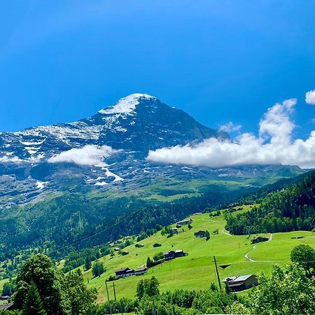 Moench Amazing Apartment Grindelwald Exterior photo