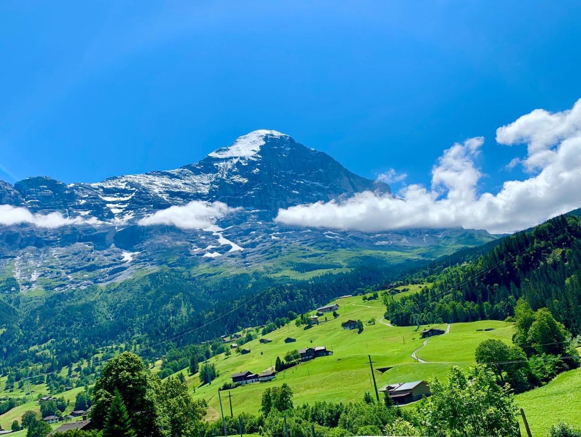 Moench Amazing Apartment Grindelwald Exterior photo